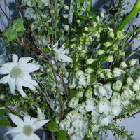 Celebration Big flowers taken by Claudia Smith | Braer Studio