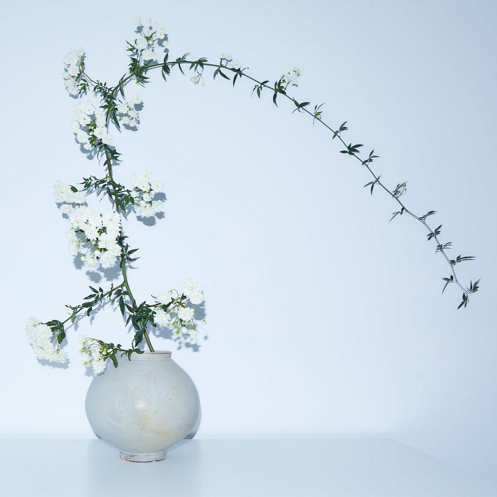 midi moon vase | Pan Pottery ceramics | Braer Studio