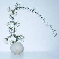 midi moon vase | Pan Pottery ceramics | Braer Studio