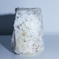 Bud Vase | Pan Pottery | Braer flower studio