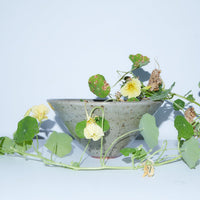 Boronia Bowl | Pan Pottery Vase | Braer Studio