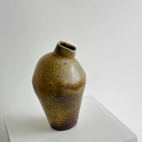 Cymbidium Vase Earth