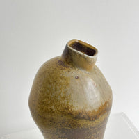 Cymbidium Vase Earth