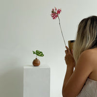 Pear Bud Vase Terracotta Sand