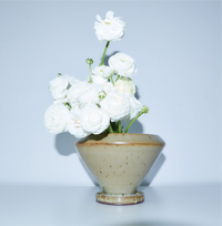 Achillea Vase