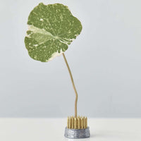 Kenzan - Baby Vase | Braer Studio