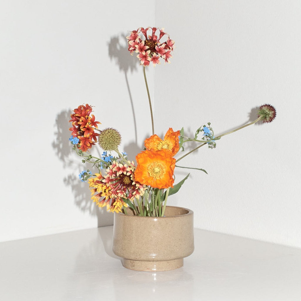 Ike - Kit, Jenn Johnston | Braer Studio