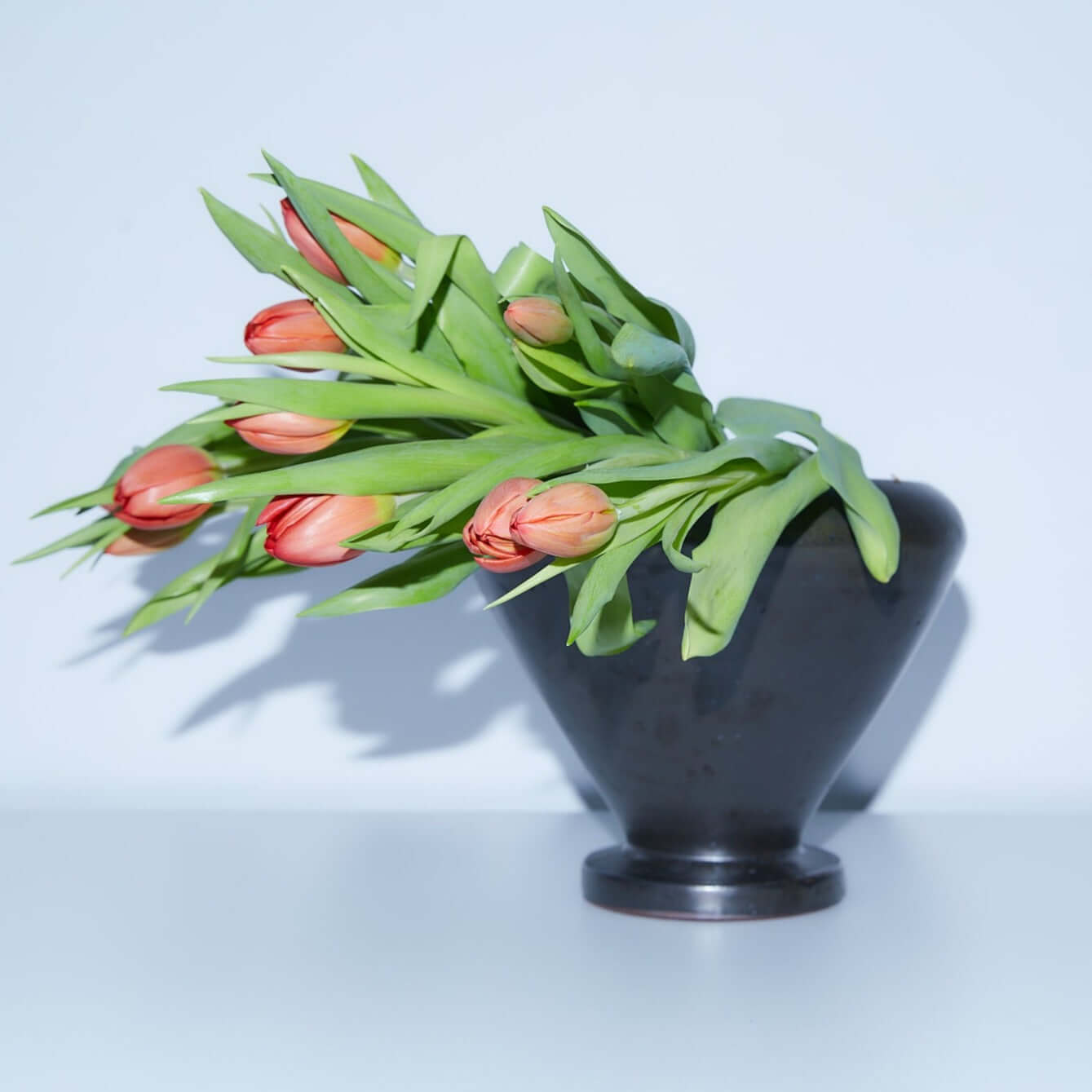 Achillea vase with a single mass of tulips