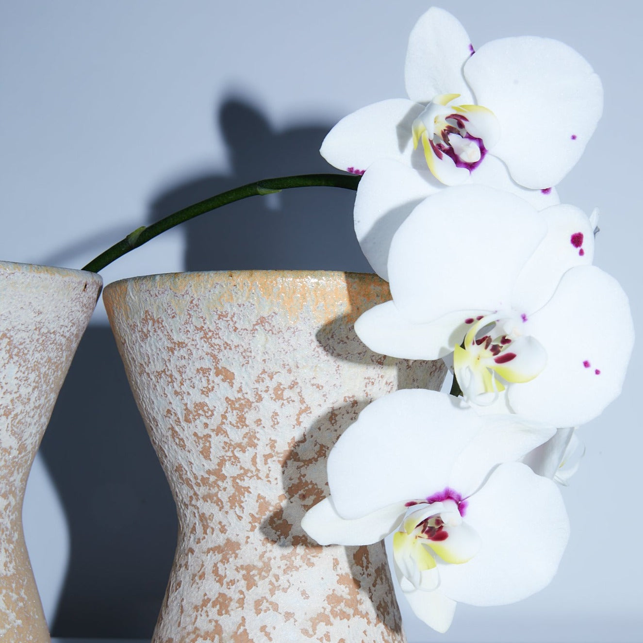 Tulip Vase | Braer Studio | Ceramic Pottery 