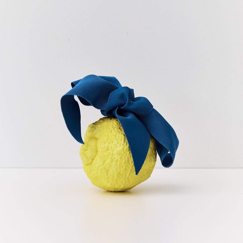 Lemon Ornament Pink | Braer Studio