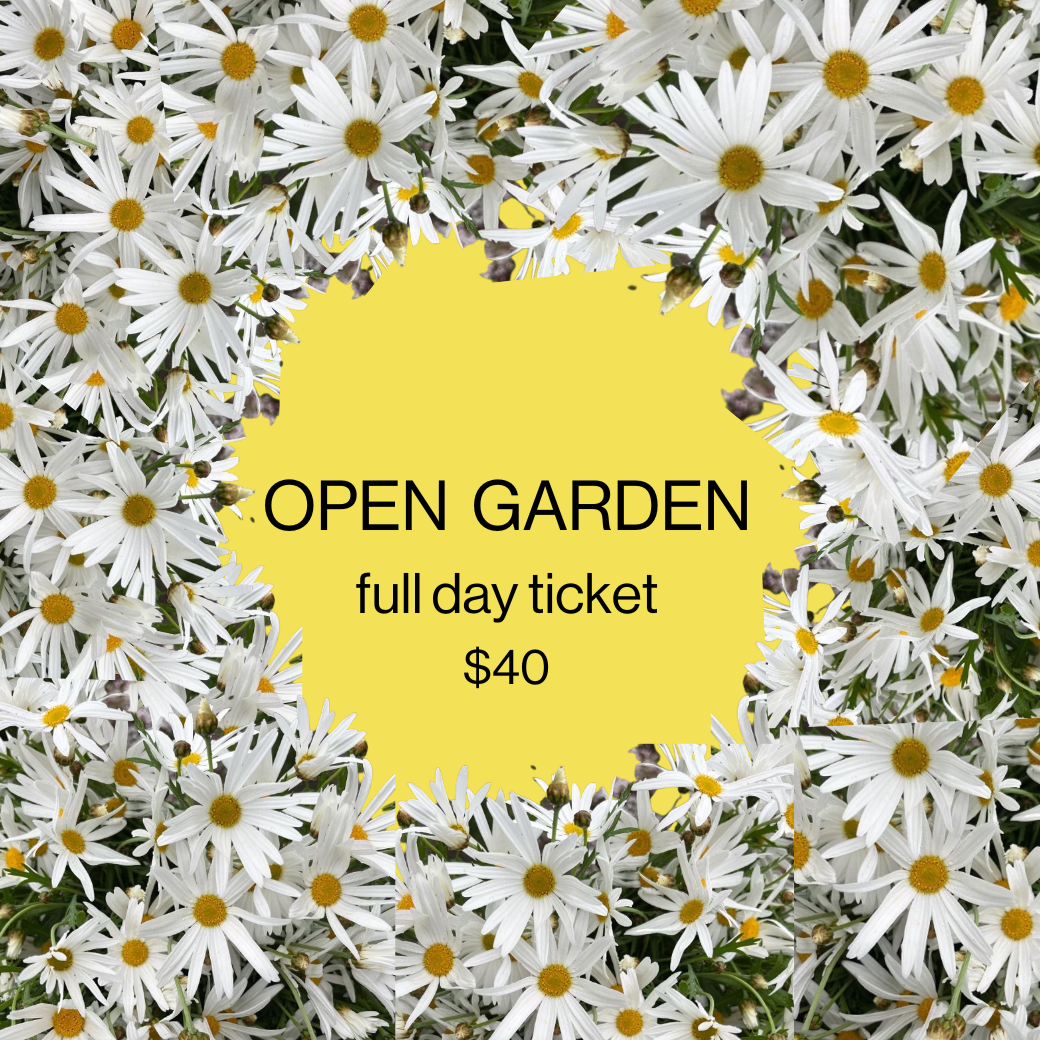 Open Garden - Full day ticket, 8th October